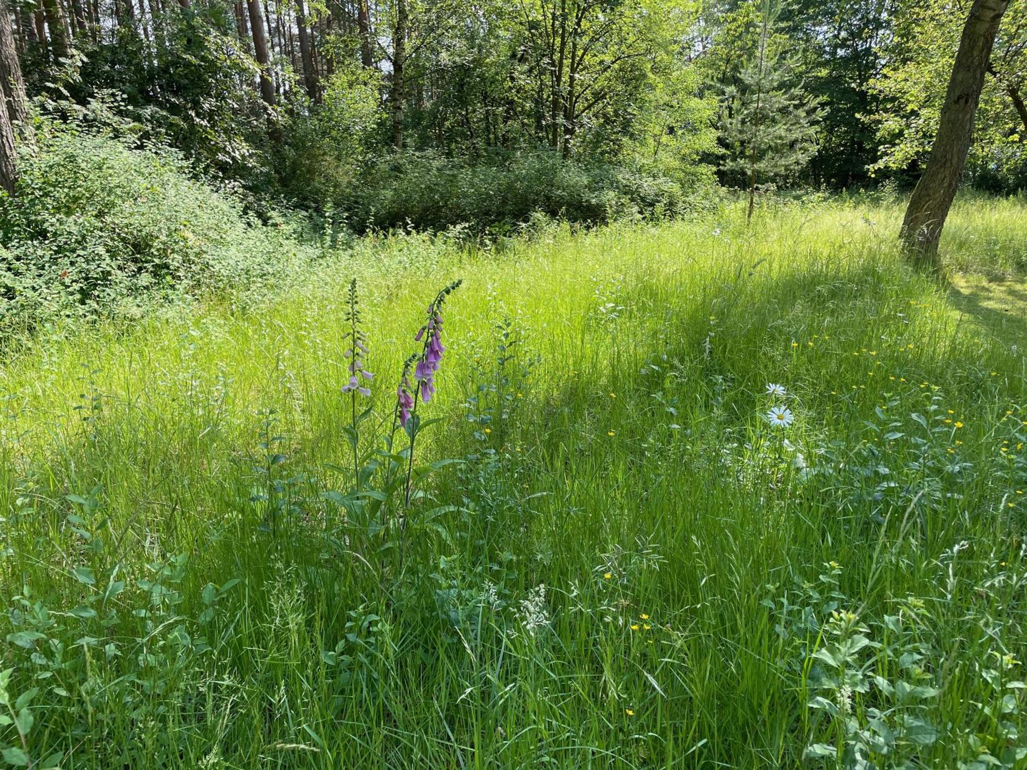 Little Paradise Privatunterkunft