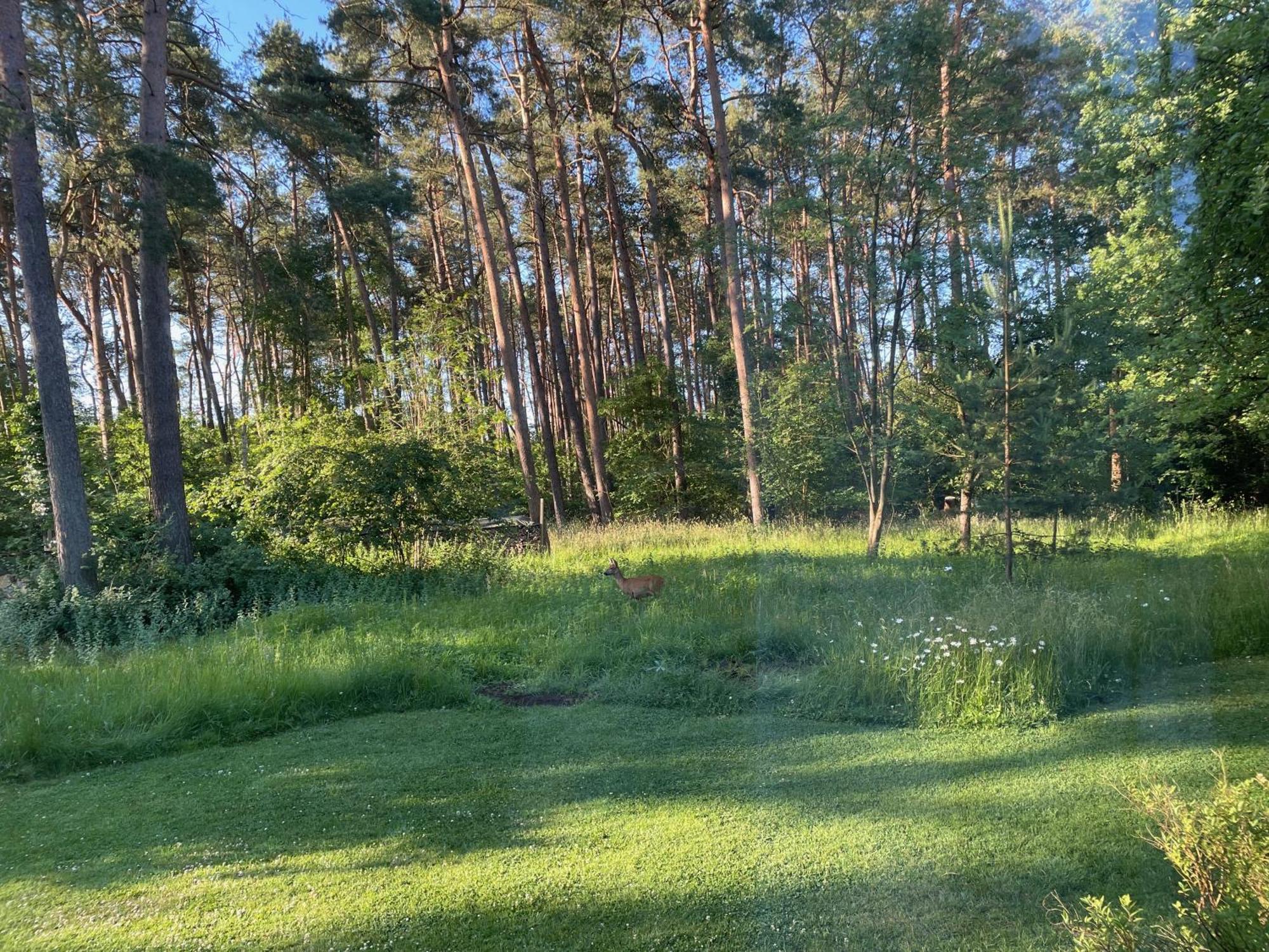 Little Paradise